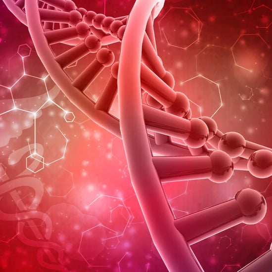 Ladies, listen up! How is your diet affecting your hormones?