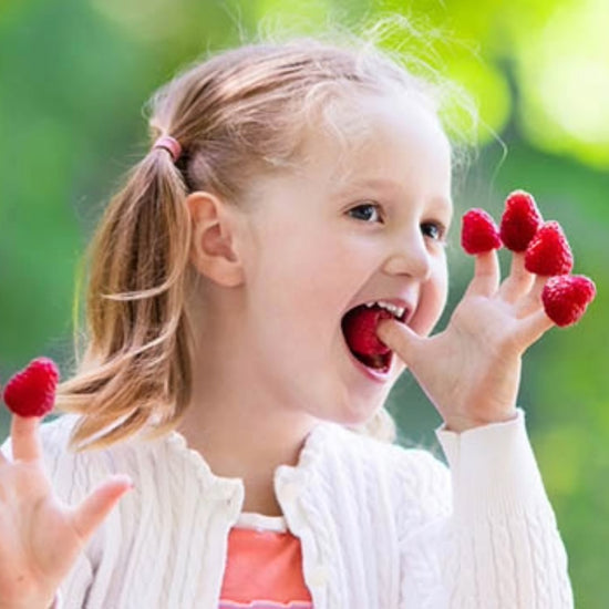 Ultimate snacks to pack when travelling with kiddos