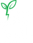 Fierce Fuel