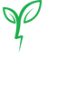 Fierce Fuel